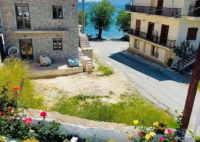 Lovely פיניקונטה